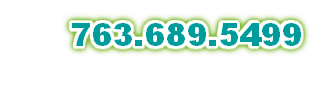 763.689.5499